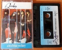 QUIREBOYS - A BIT OF WHAT YOU FANCY (1990) KENT CASSETTE MADE IN TURKEY ''USED'' PAPER LABEL