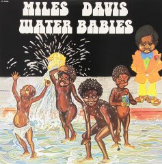MILES DAVIS - WATER BABIES (1976) - PLAK SIFIR