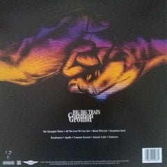 BIG BIG TRAIN - COMMON GROUND (2021) - 2LP SIFIR PLAK