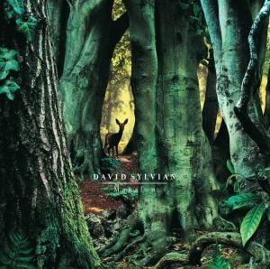 DAVID SYLVIAN - MANAFON (2009) - 2LP 180GR 2022 EDITION GATEFOLD SIFIR PLAK