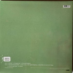 DAVID SYLVIAN - BLEMISH (2003) - LP 180GR 2022 EDITION GATEFOLD SIFIR PLAK