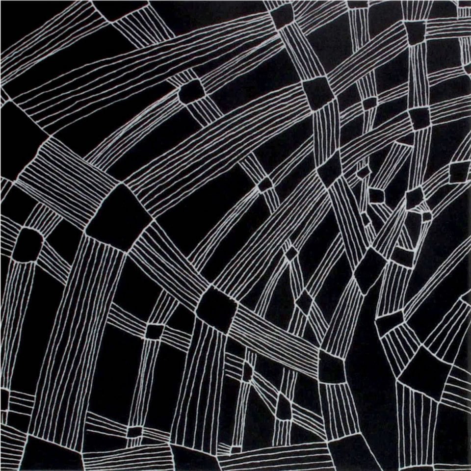 R. SEILIOG – IN HZ (2014) LP ELECTRONIC, TECHNO, ACID SIFIR PLAK