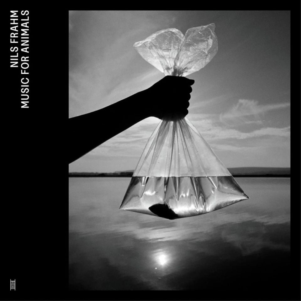 NILS FRAHM - MUSIC FOR ANIMALS (2022) - 4LP CONTEMPORARY CLASSICAL SIFIR PLAK