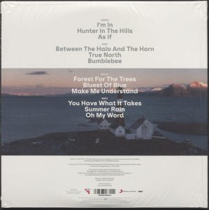 A-HA - TRUE NORTH (2022) - 2LP 45RPM GATEFOLD SIFIR PLAK