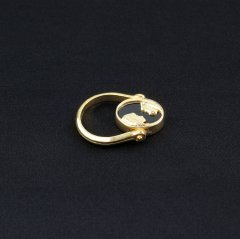 Zodiac Serisi İkizler Burcu Gümüş Yüzük