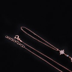 Yıldız Model Zirkon Taşlı Gümüş Şahmeran