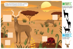 Doğal Yaşamda Safari - Eğlenceli Öğretici Aktivite Kitabı