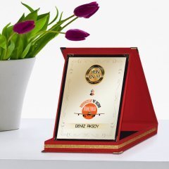 Kişiye Özel Yılın En İyi Havacılık ve Uçak Mühendisi Kırmızı Plaket Ödülü
