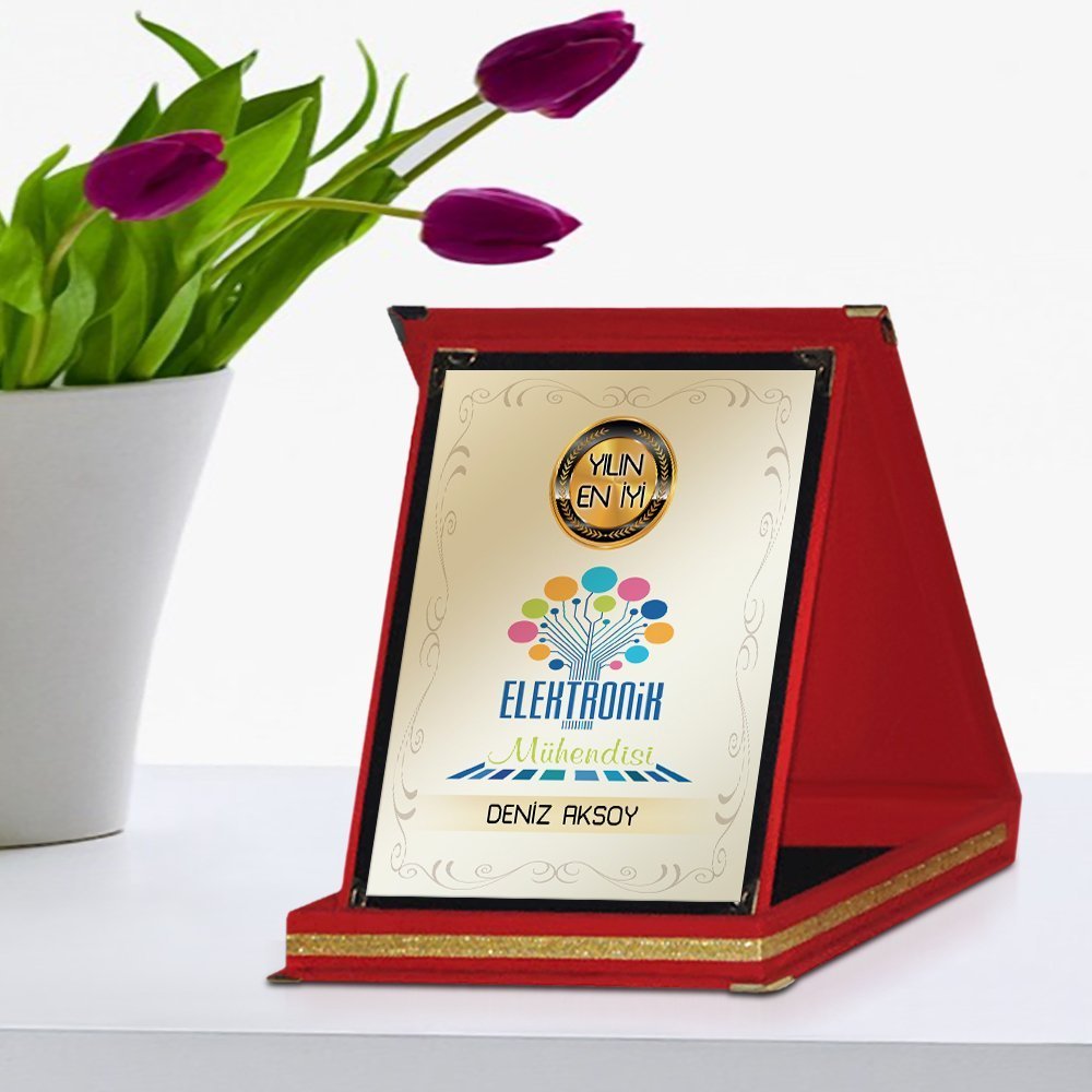 Kişiye Özel Yılın En İyi Elektronik Mühendisi Kırmızı Plaket Ödülü - 1