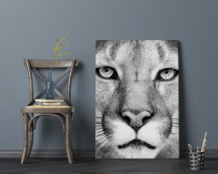 BK Home Puma Tasarımlı Kanvas Tablo 70x100cm-1