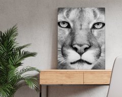 BK Home Puma Tasarımlı Kanvas Tablo 50x70cm-1