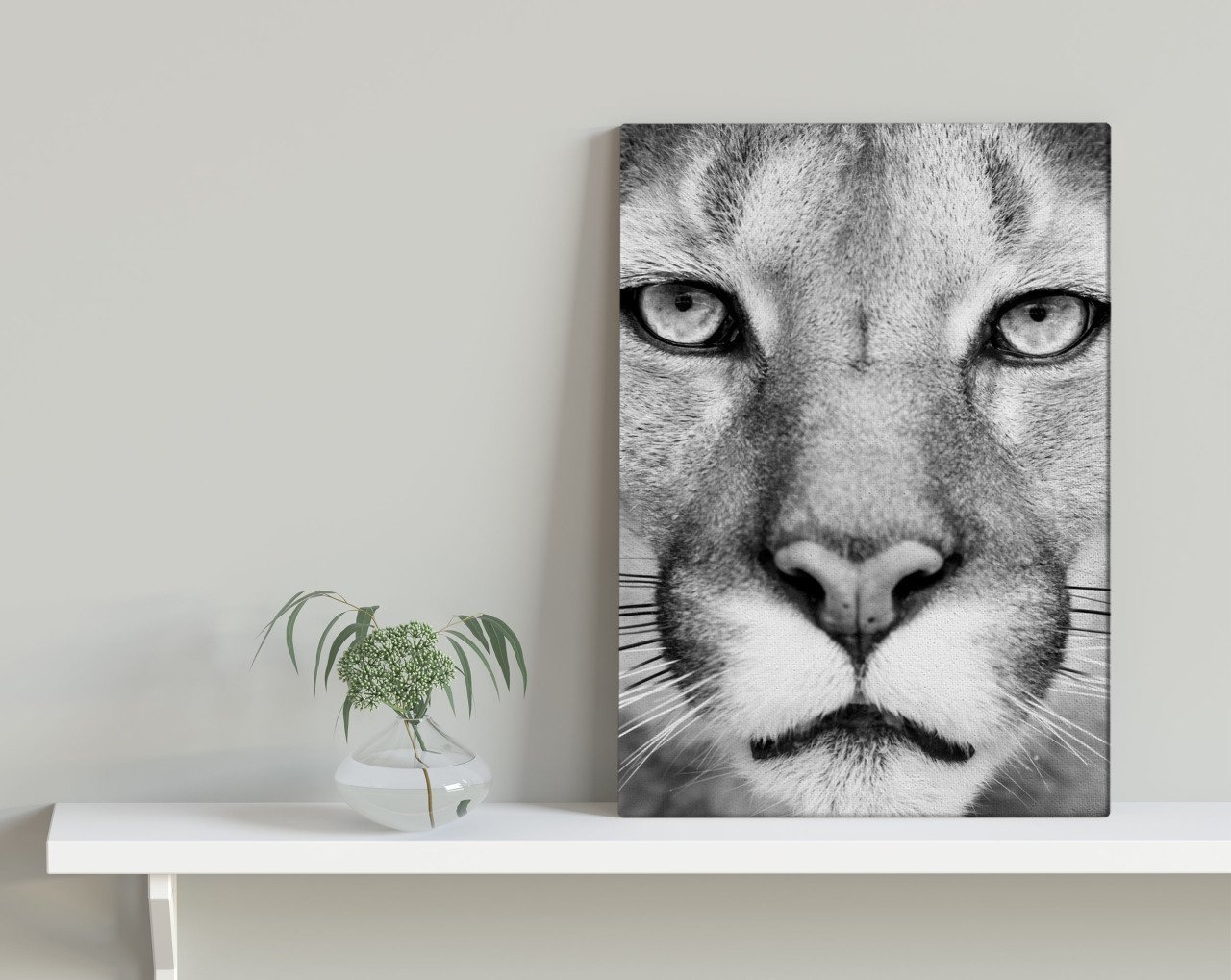 BK Home Puma Tasarımlı Kanvas Tablo 30x50cm-1