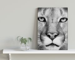 BK Home Puma Tasarımlı Kanvas Tablo 30x50cm-1