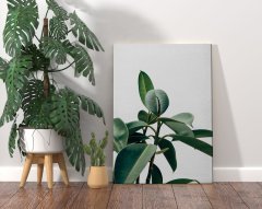 BK Home Green Plant Tasarımlı Kanvas Tablo 70x100cm-1