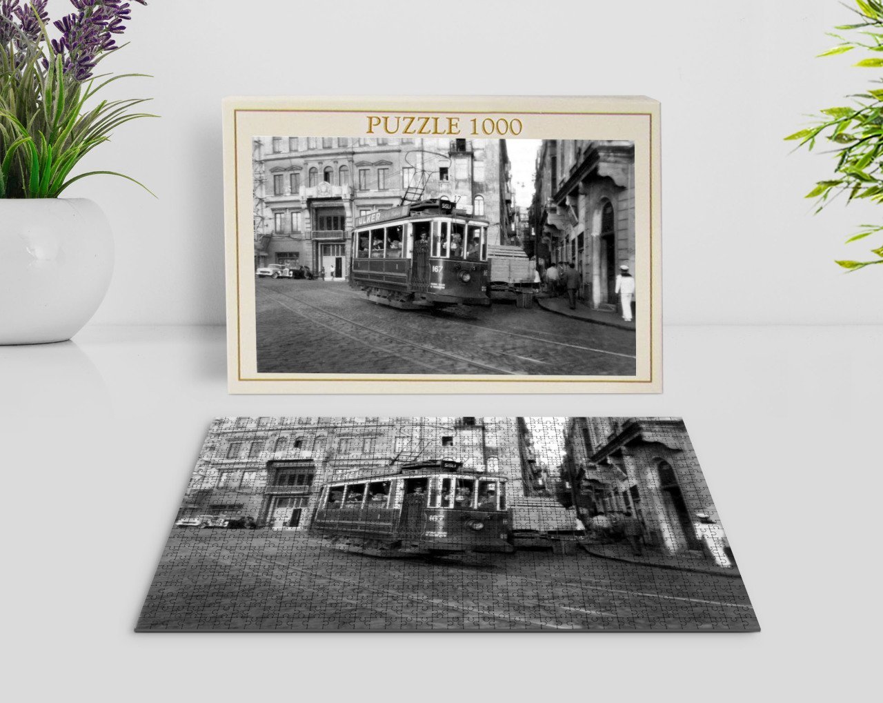 BK Home İstanbul 1000 Parça Profesyonel Puzzle-1