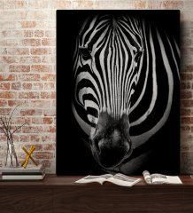 BK Home Zebra Tasarımlı Kanvas Tablo 70x100cm-1