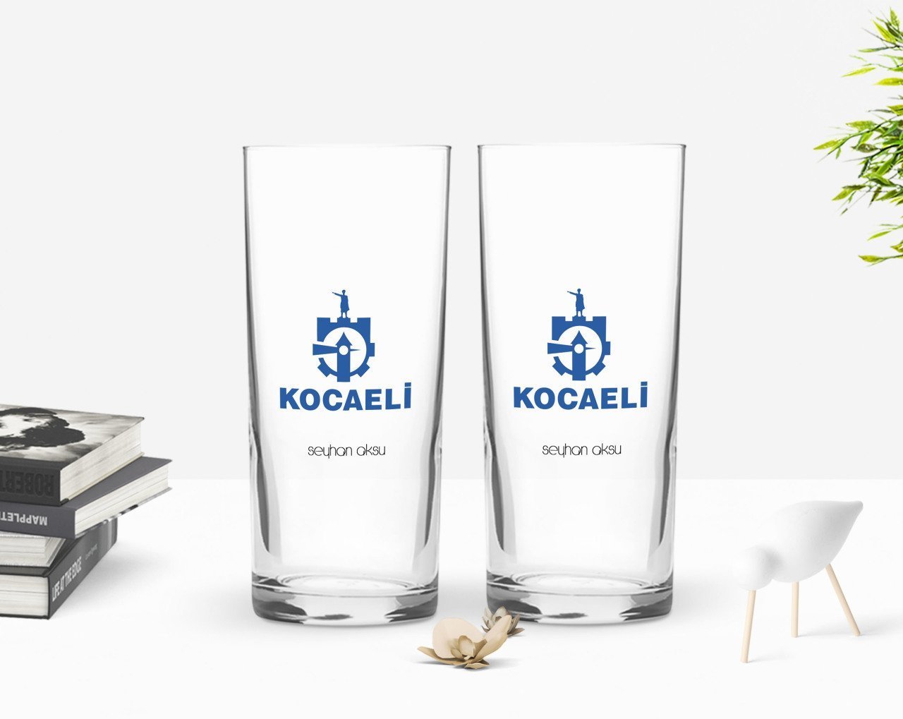 Kişiye Özel Renkli Baskılı Kocaeli Tasarımlı Turistik İkili Rakı Bardağı Seti-1