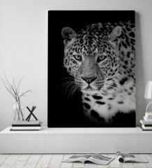 BK Home Leopar Tasarımlı Kanvas Tablo 50x70cm-1