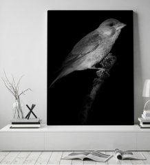 BK Home Kanarya Tasarımlı Kanvas Tablo 50x70cm-1