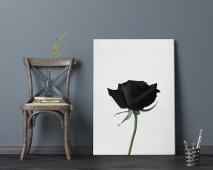 BK Home Black Rose Tasarımlı Kanvas Tablo 70x100cm-1