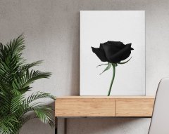 BK Home Black Rose Tasarımlı Kanvas Tablo 50x70cm-1