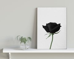 BK Home Black Rose Tasarımlı Kanvas Tablo 30x50cm-1
