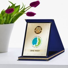 Kişiye Özel Yılın En İyi Plastik Cerrahı Lacivert Plaket Ödülü