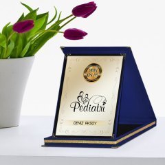 Kişiye Özel Yılın En İyi Pediatrı Lacivert Plaket Ödülü
