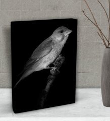 BK Gift Kanarya Tasarımlı Dekoratif Mini Kanvas Tablo 15x20cm-1