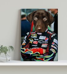 Evcil Dostlara Özel Nascar Pilot Tasarımlı Portre Kanvas Tablo 30x50cm-3