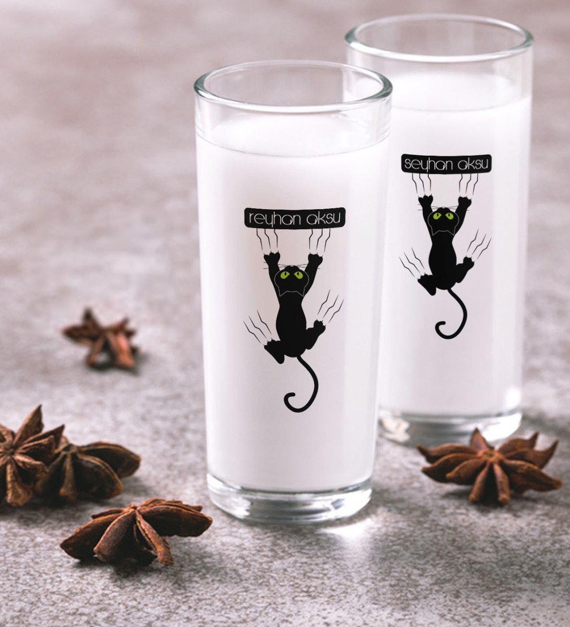 Kişiye Özel Renkli Baskılı Kedi İkili Rakı Bardağı Seti-1