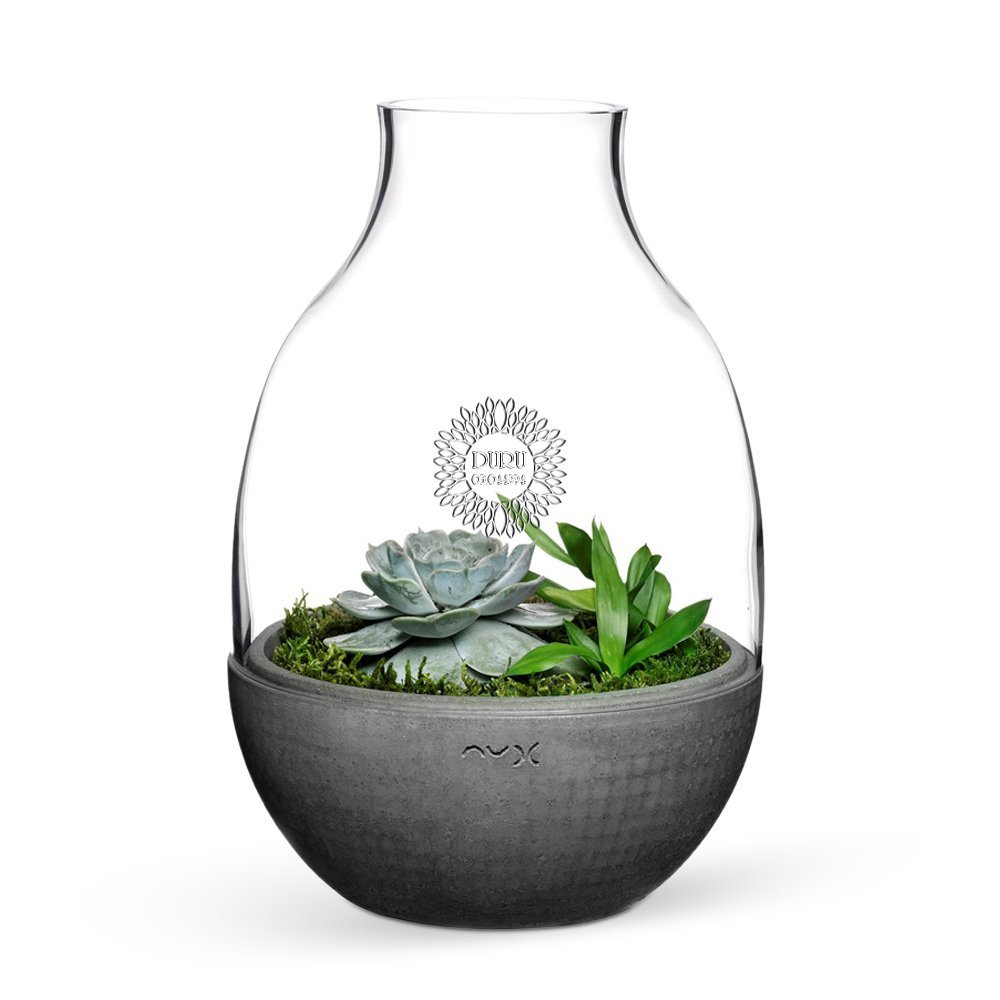 Kişiye Özel Eden Terrarium