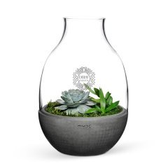 Kişiye Özel Eden Terrarium