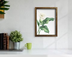 BK Home Doğal Masif Ahşap Çerçeveli Tablo-7