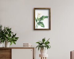 BK Home Doğal Masif Ahşap Çerçeveli Tablo-7