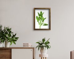 BK Home Doğal Masif Ahşap Çerçeveli Tablo-5