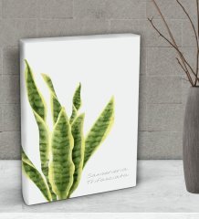 BK Gift Green Plant Tasarımlı Dekoratif Mini Kanvas Tablo 15x20cm-3