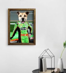 Evcil Dostlara Özel Nascar Pilot Tasarımlı Portre Doğal Masif Ahşap Çerçeveli Tablo 45x65cm-5
