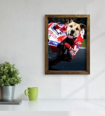 Evcil Dostlara Özel MotoGP Tasarımlı Portre Doğal Masif Ahşap Çerçeveli Tablo 45x65cm-4