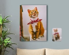 Kişiye Özel Tam Boy Kedi Karikatürlü Kanvas Tablo 50x70cm-1