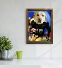 Evcil Dostlara Özel Amerikan Futbolcusu Tasarımlı Portre Doğal Masif Ahşap Çerçeveli Tablo 45x65cm-8
