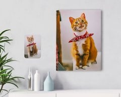 Kişiye Özel Tam Boy Kedi Karikatürlü Kanvas Tablo 30x50cm-1
