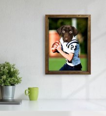 Evcil Dostlara Özel Amerikan Futbolcusu Tasarımlı Portre Doğal Masif Ahşap Çerçeveli Tablo 45x65cm-6