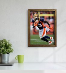 Evcil Dostlara Özel Amerikan Futbolcusu Tasarımlı Portre Doğal Masif Ahşap Çerçeveli Tablo 30x40cm-4