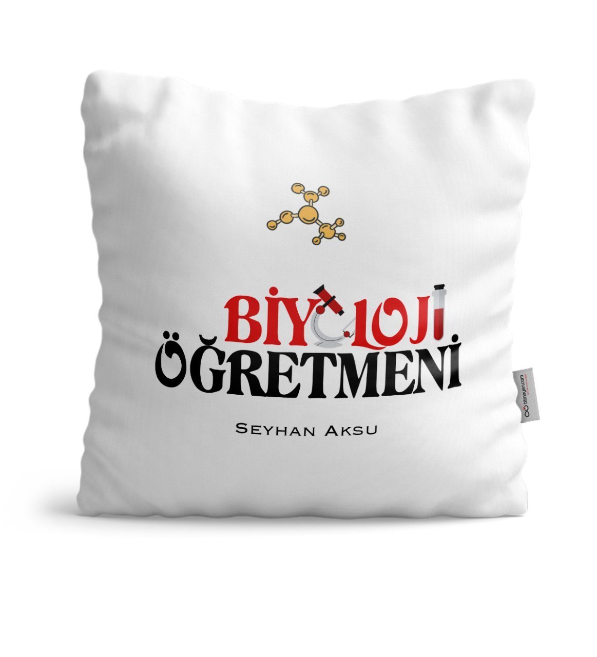 Kişiye Özel Biyoloji Öğretmeni Saten Yastık