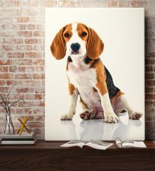Evcil Dostunuza Özel Yağlıboya Kanvas Tablo 70x100cm-1