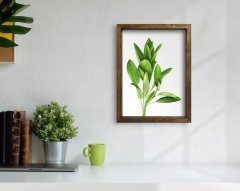 BK Home Doğal Masif Ahşap Çerçeveli Tablo 45x65cm-5