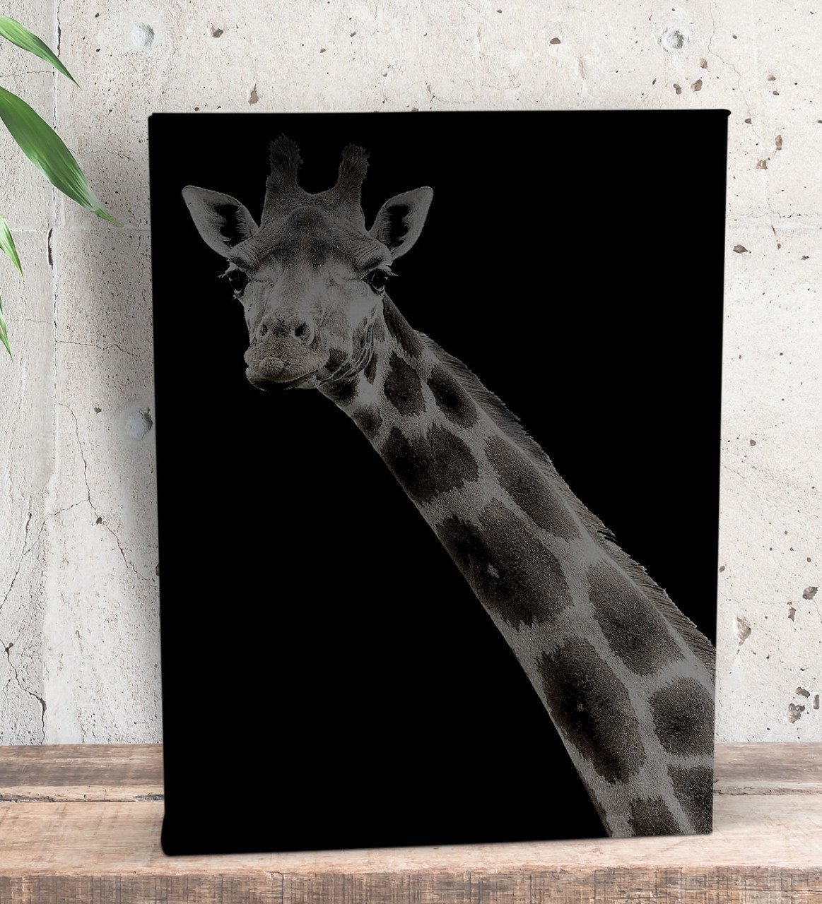 BK Gift Zürafa Tasarımlı Dekoratif Mini Kanvas Tablo 15x20cm-1