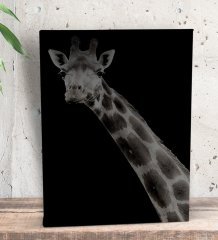 BK Gift Zürafa Tasarımlı Dekoratif Mini Kanvas Tablo 15x20cm-1