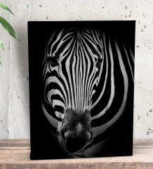 BK Gift Zebra Tasarımlı Dekoratif Mini Kanvas Tablo 15x20cm-1